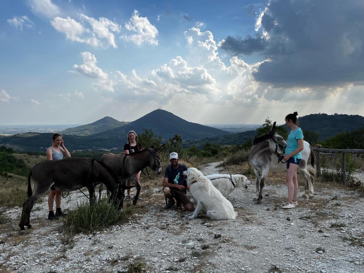 Holiday House Petrarca Arqua Petrarca Εξωτερικό φωτογραφία