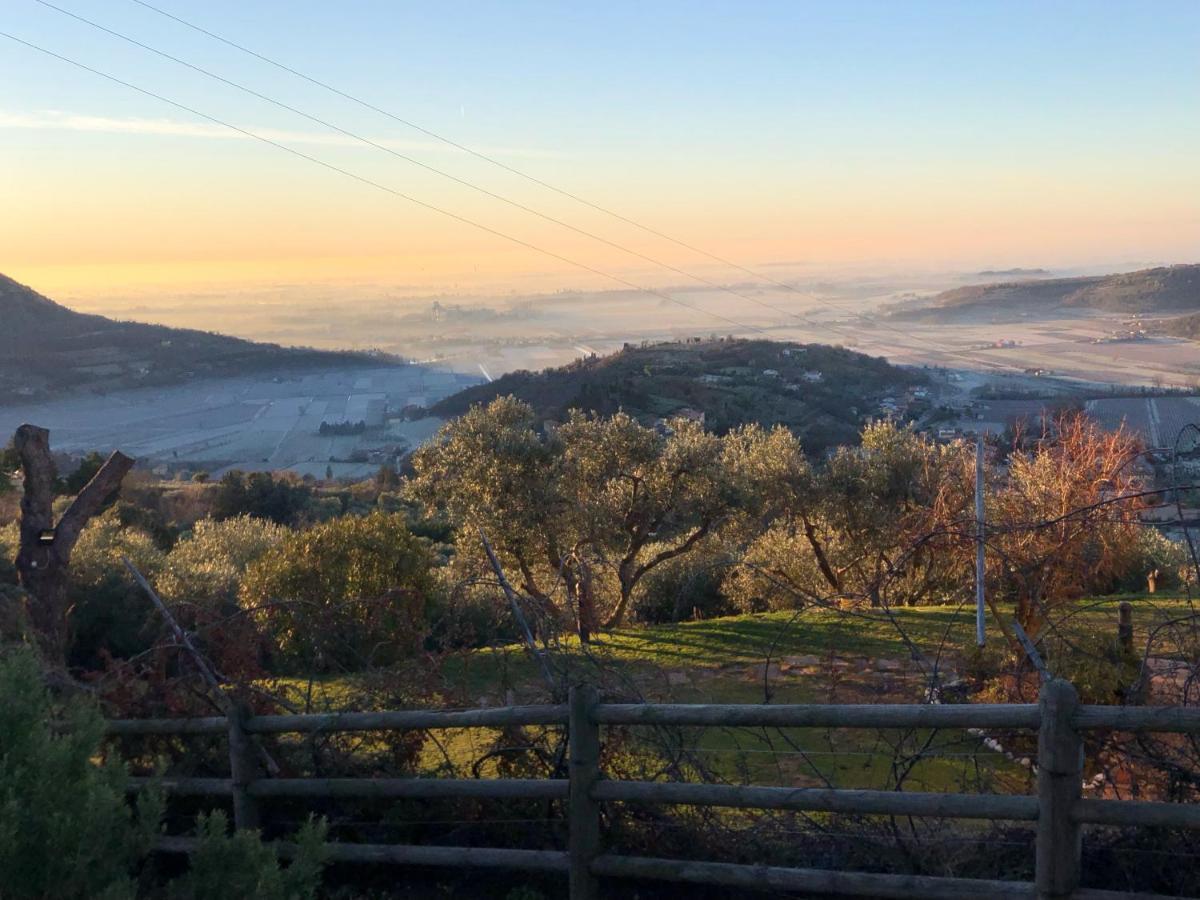 Holiday House Petrarca Arqua Petrarca Εξωτερικό φωτογραφία